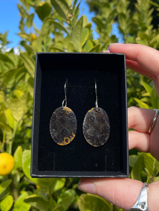 Tasmanian Petrified Fern slice sterling silver earrings