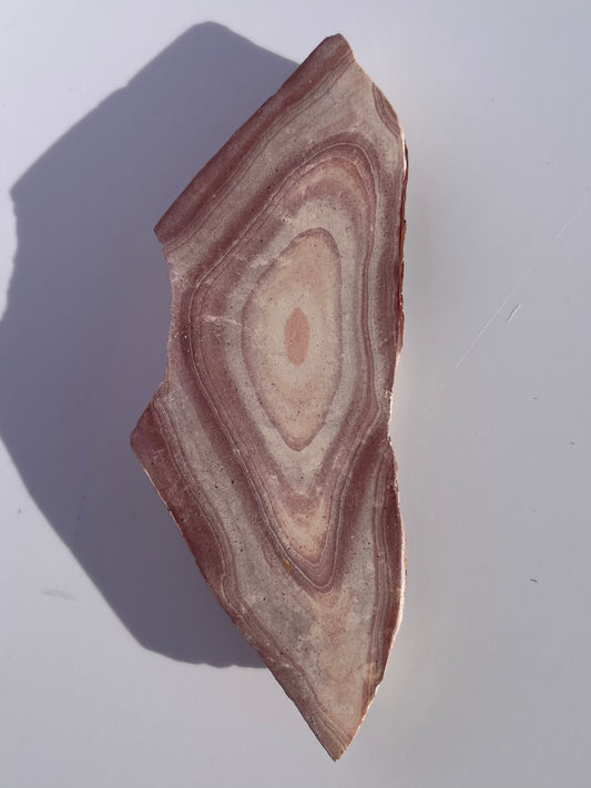 Tasmanian Rainbow Siltstone