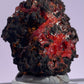 Tasmanian Crocoite