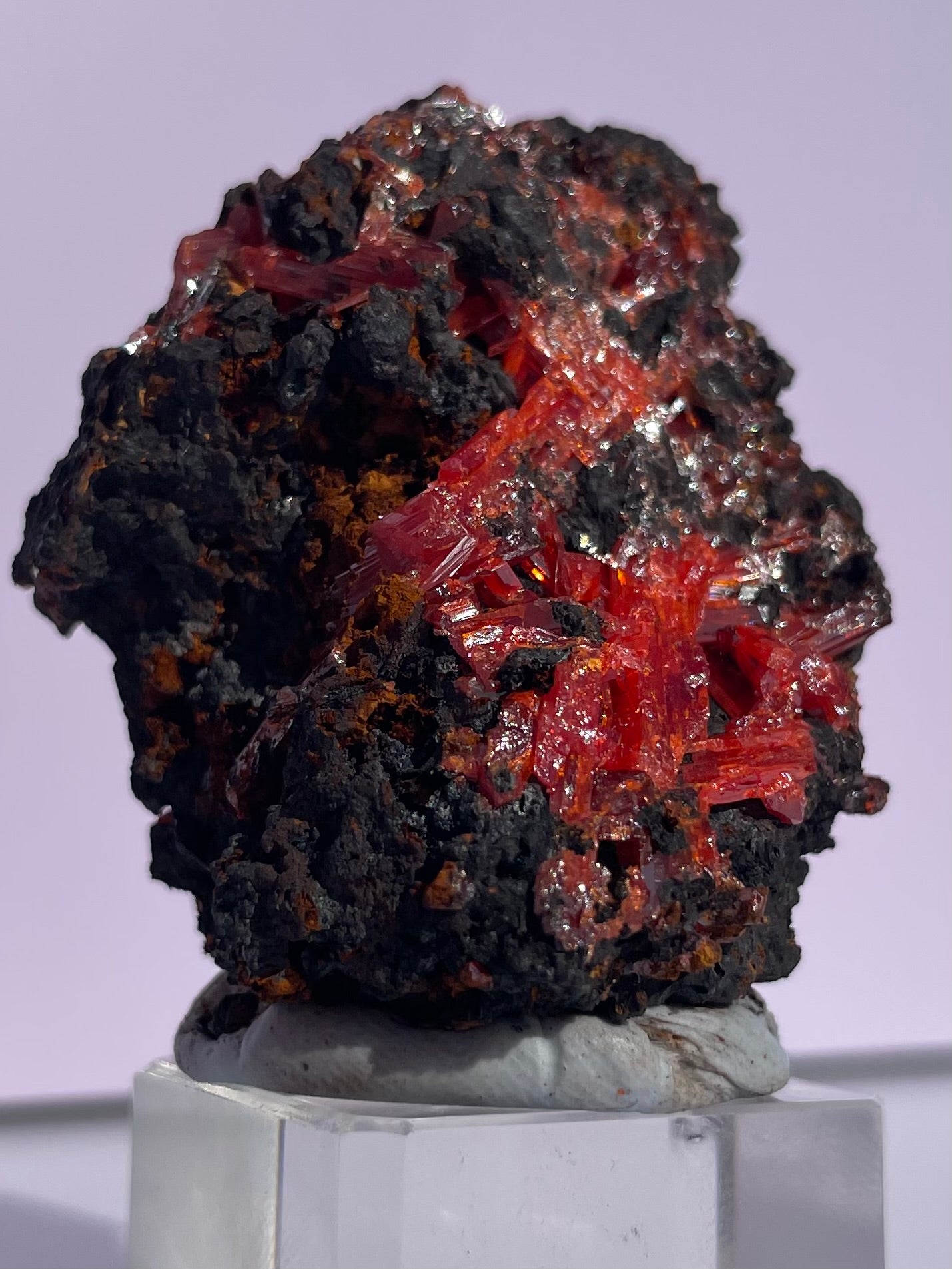 Tasmanian Crocoite