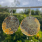 Tasmanian Petrified Fern sterling silver slice earrings