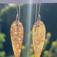 Tasmanian Petrified Fern slice sterling silver earrings