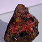 Tasmanian Crocoite