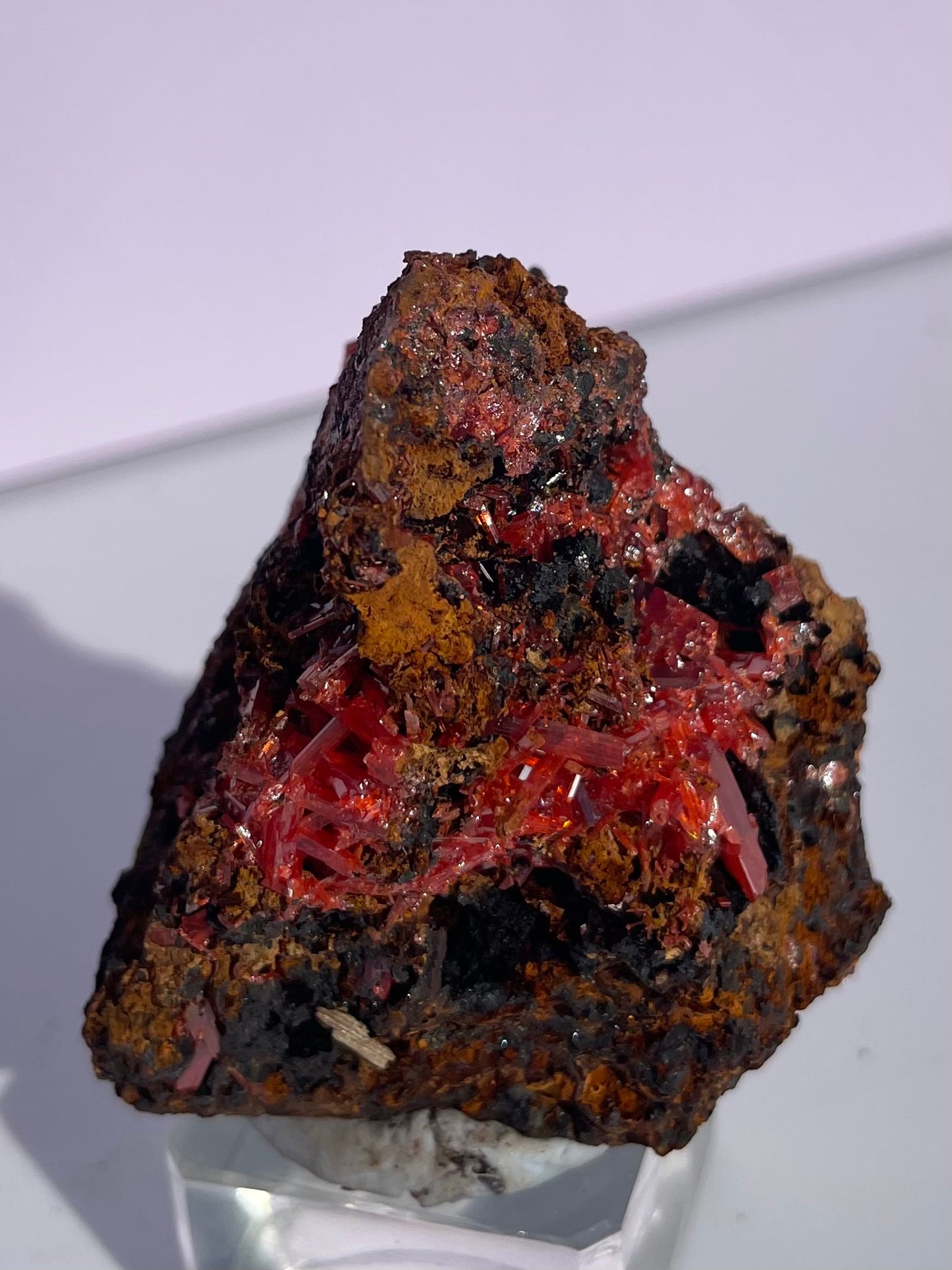 Tasmanian Crocoite