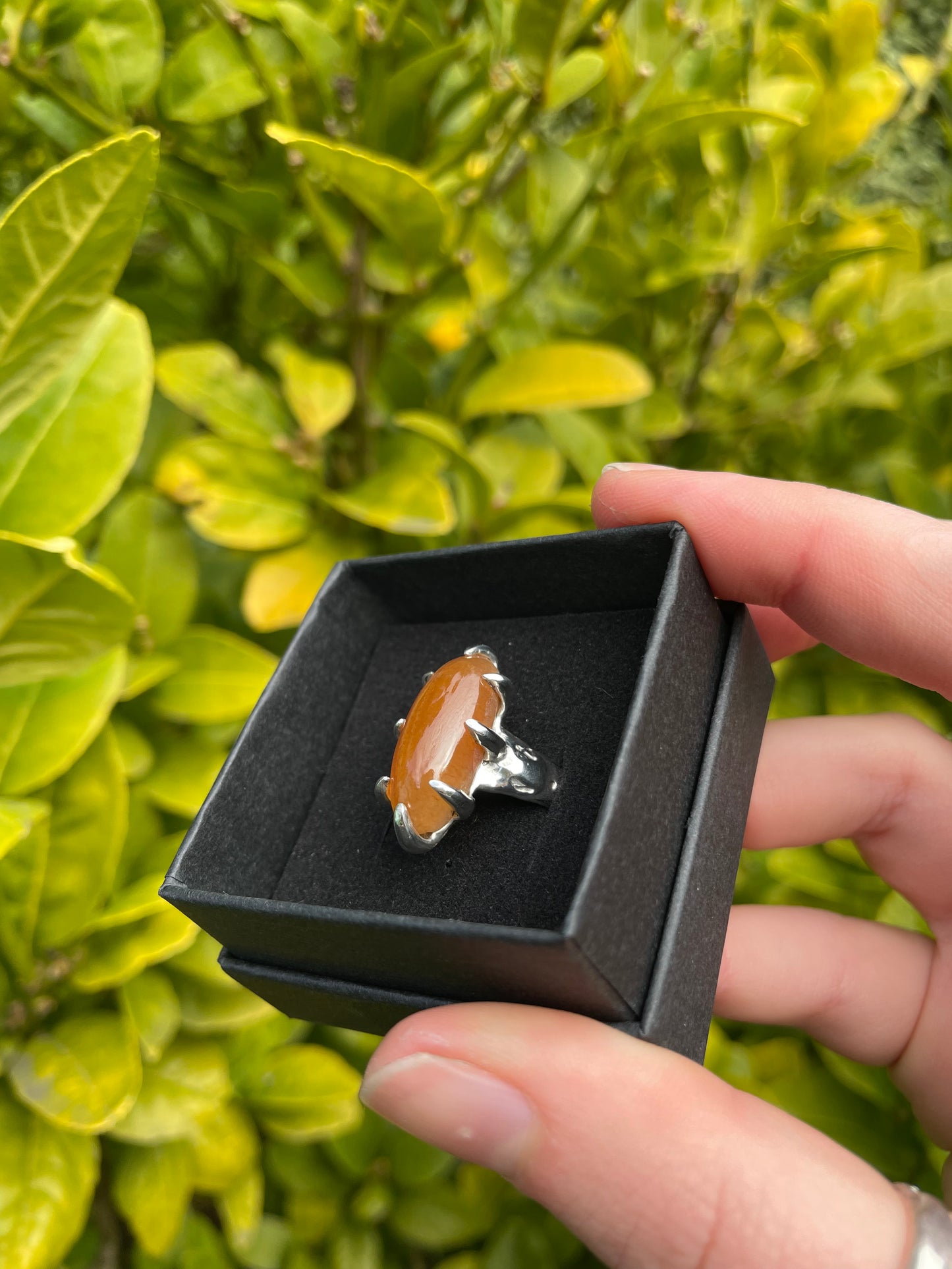 Tasmanian Lune River Agate sterling silver claw ring