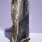 XXL Tasmanian Opalized Wood trunk sculpture w/ tas musk burl stand