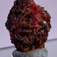 Tasmanian Crocoite