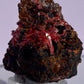 Tasmanian Crocoite