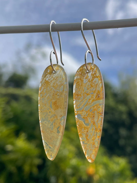 Tasmanian Petrified Fern sterling silver slice earrings