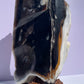 XXL Tasmanian Opalized Wood trunk sculpture w/ tas musk burl stand