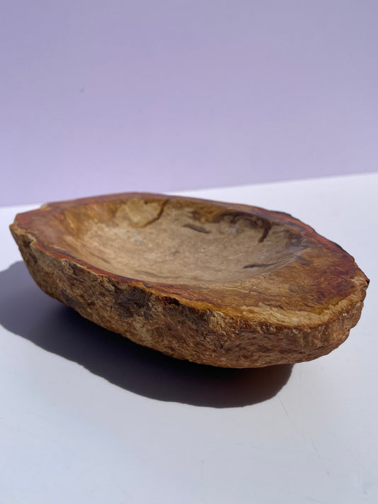 Tasmanian petrified forest floor bowl