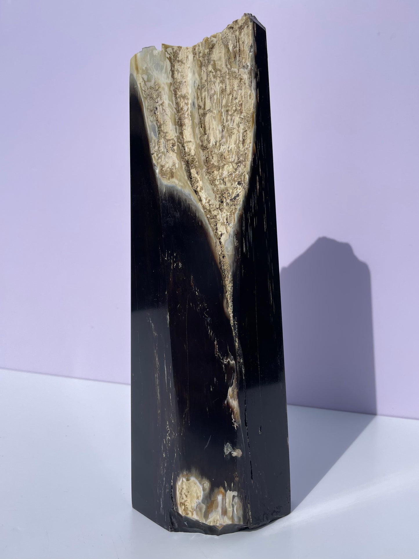 Tasmanian Opalized Wood tower with Agate inclusion