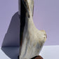 XXL Tasmanian Opalized Wood trunk sculpture w/ tas musk burl stand