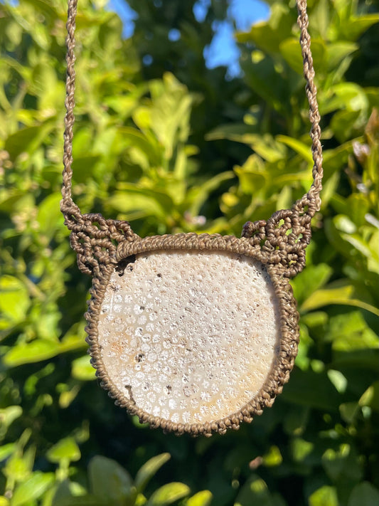 Tasmanian Coral slice macrame necklace