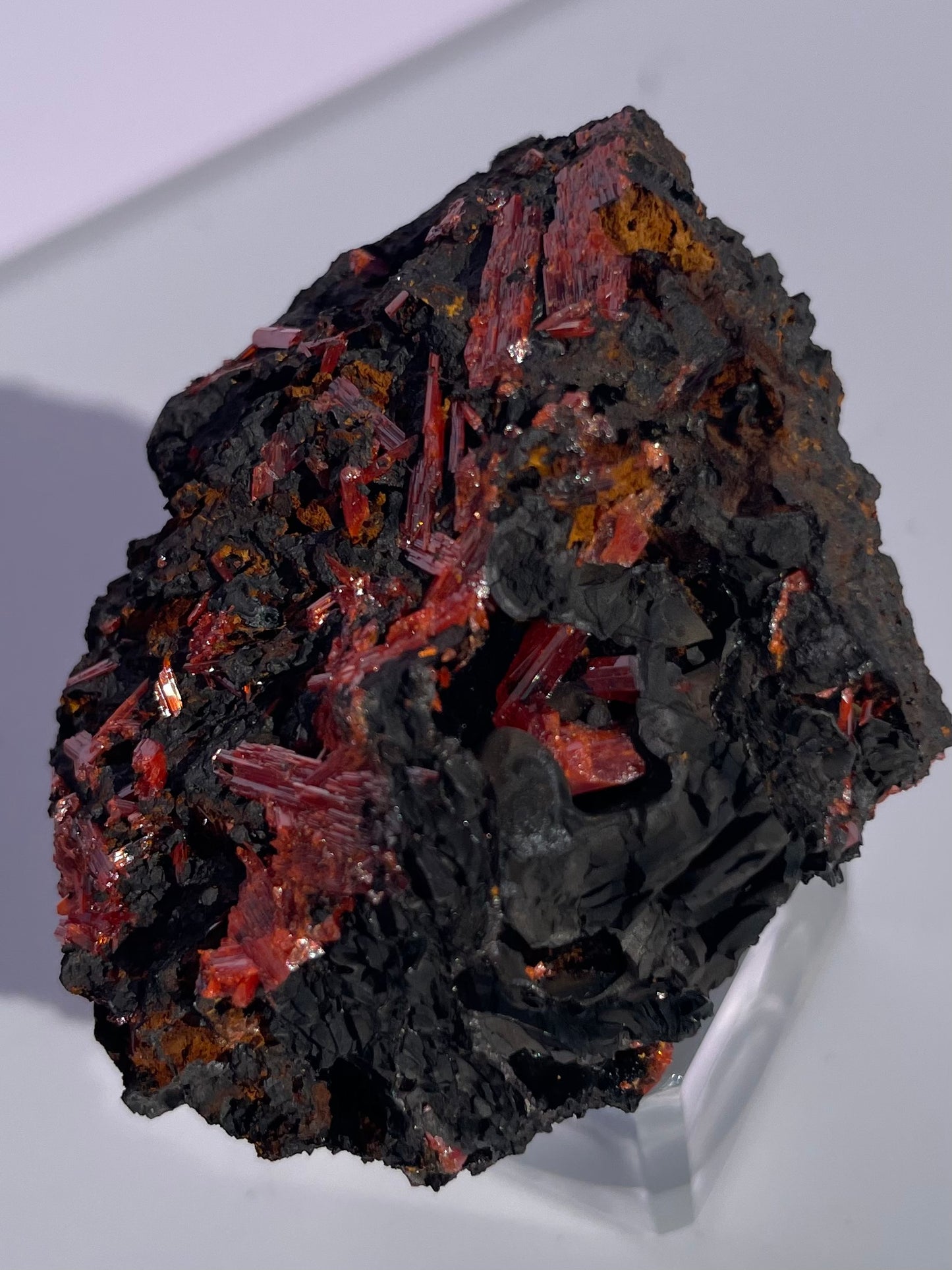 Tasmanian Crocoite