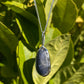 Raw Tasmanian Sapphire sterling silver XL pebble necklace