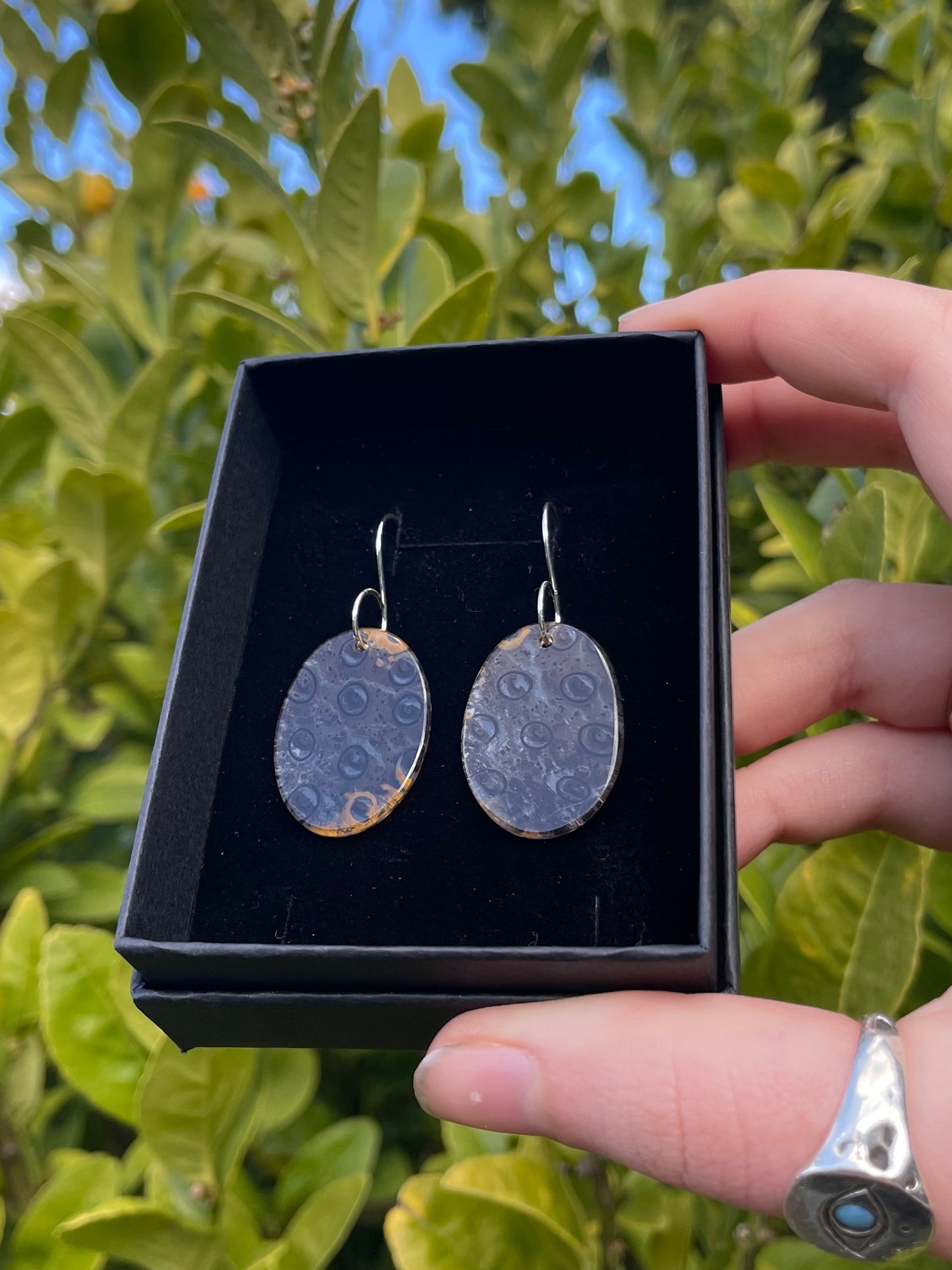 Tasmanian Petrified Fern slice sterling silver earrings