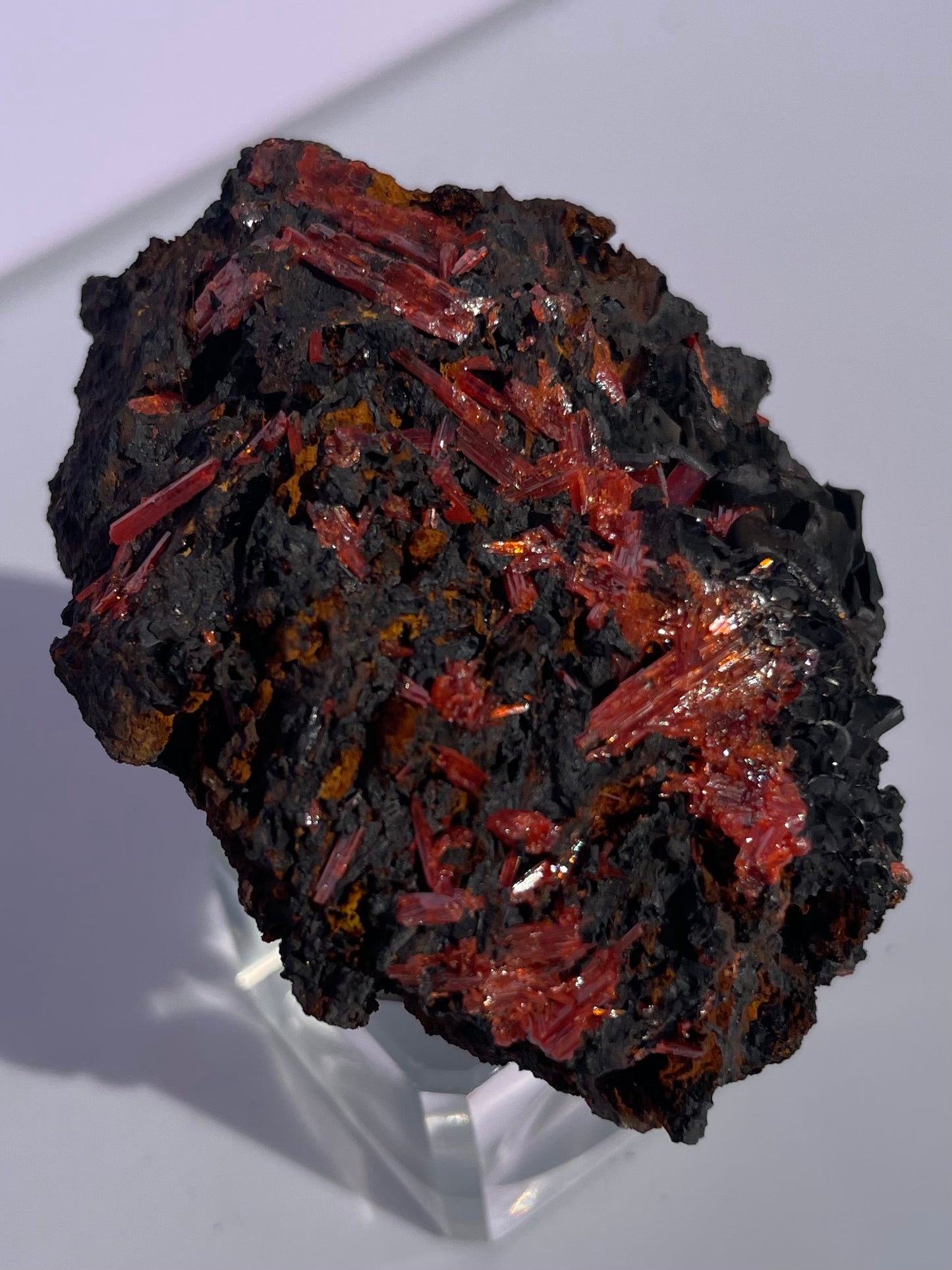 Tasmanian Crocoite