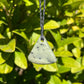 Tasmanian Jade macrame necklace