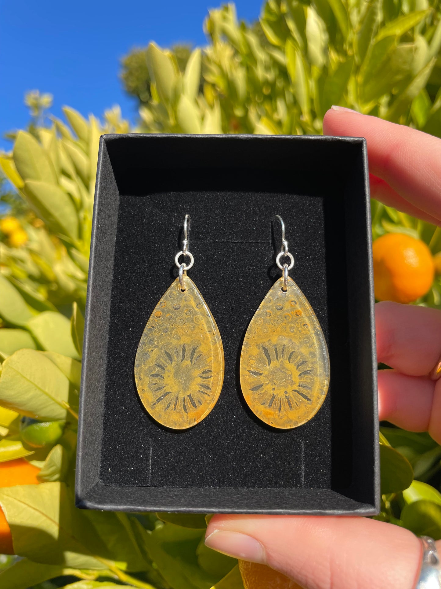 RARE Tasmanian Petrified fern & sterling silver slice earrings