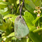 Tasmanian Jade macrame necklace