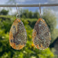 Tasmanian Petrified Fern sterling silver slice earrings