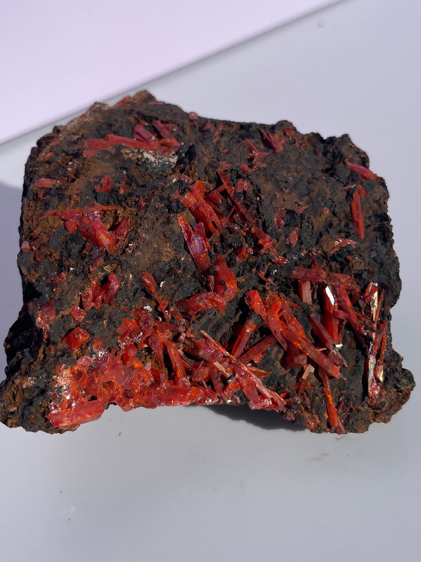 Tasmanian Crocoite