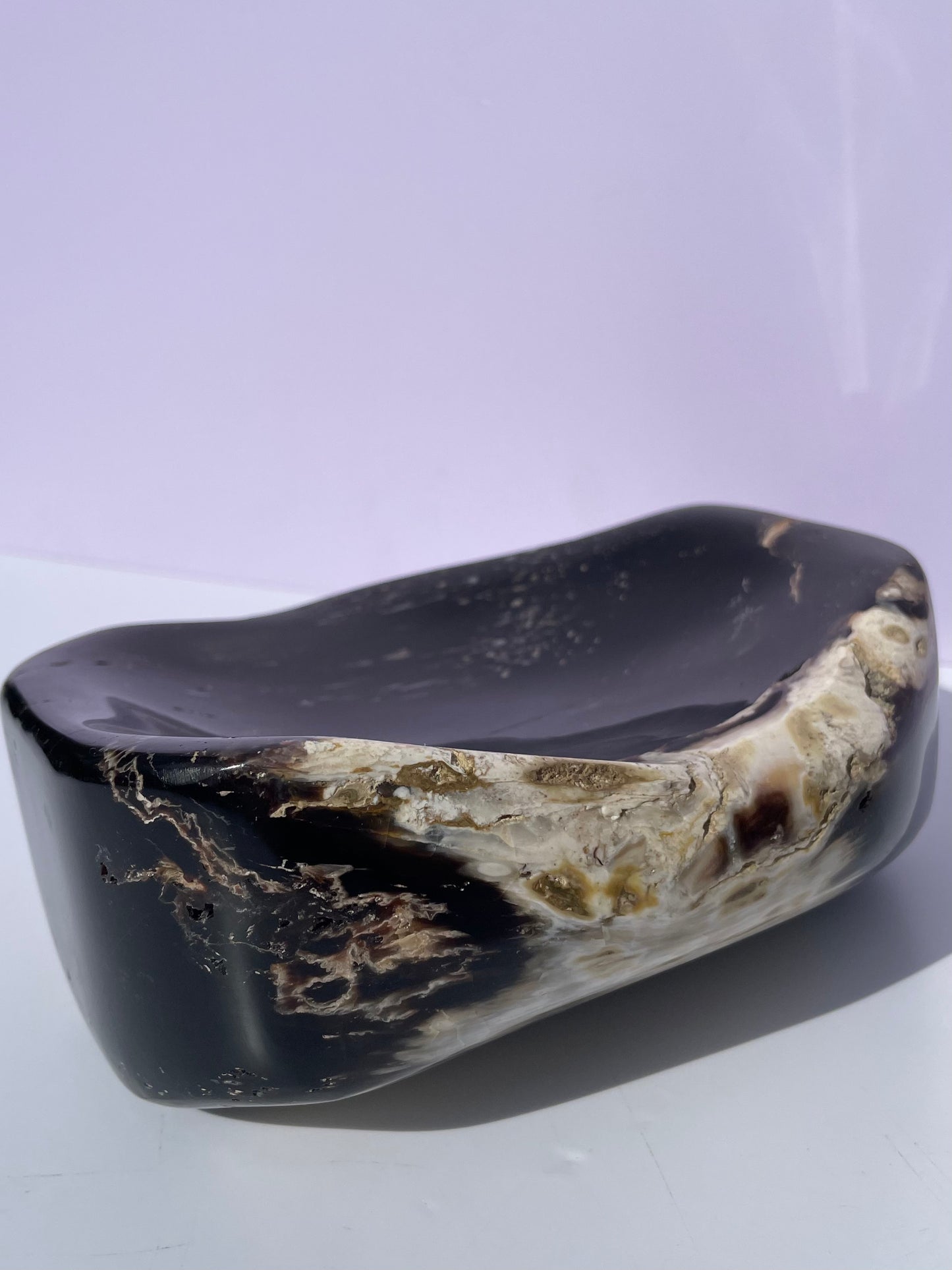 Tasmanian Opalized Wood bowl / freeform sculpture