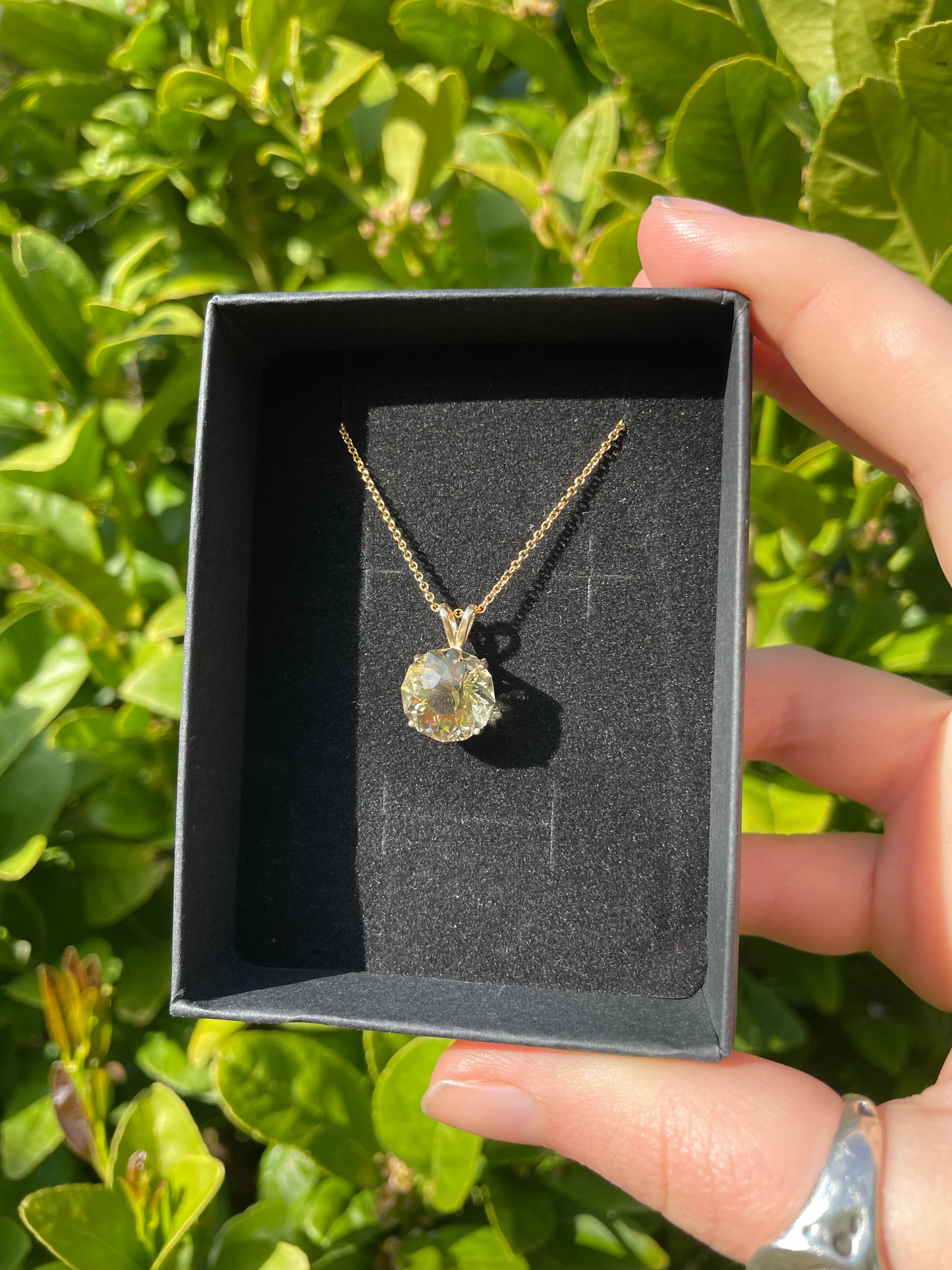 Tasmanian Citrine 9ct Gold pendant necklace