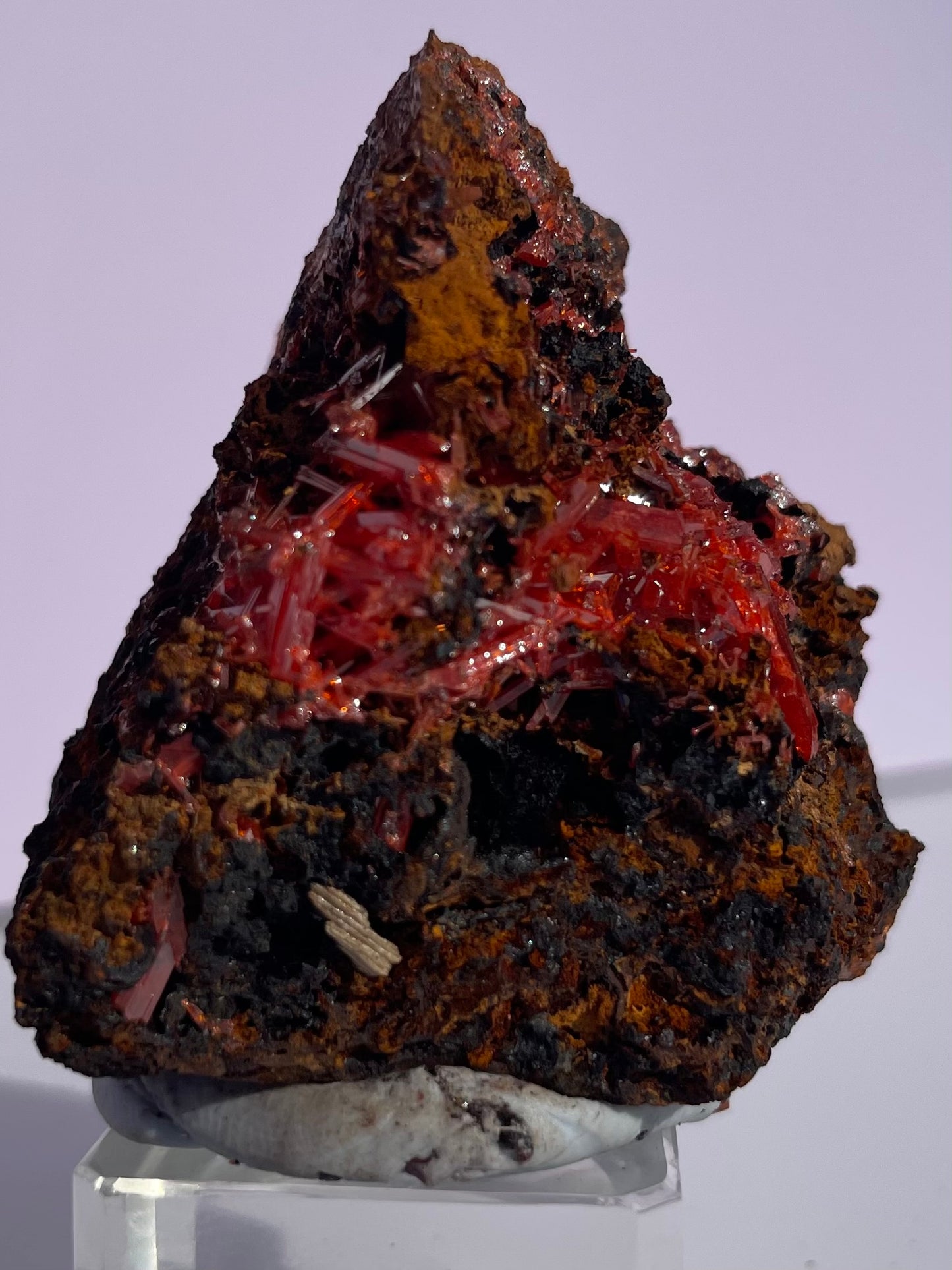 Tasmanian Crocoite