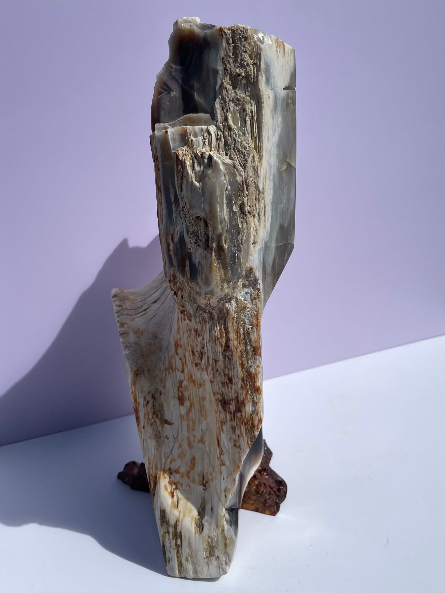 XXL Tasmanian Opalized Wood trunk sculpture w/ tas musk burl stand