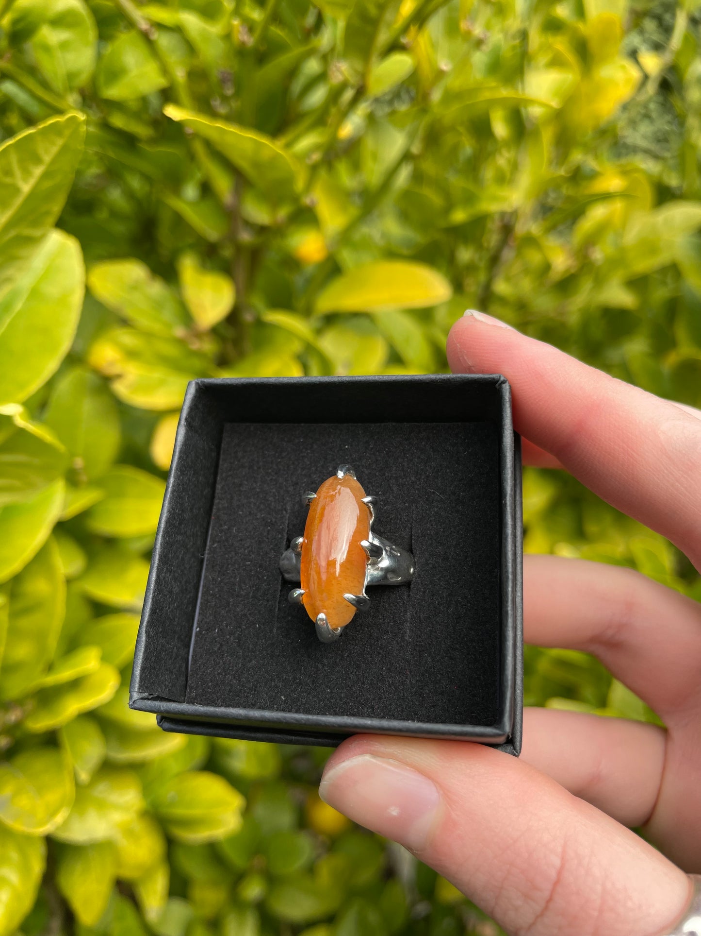 Tasmanian Lune River Agate sterling silver claw ring