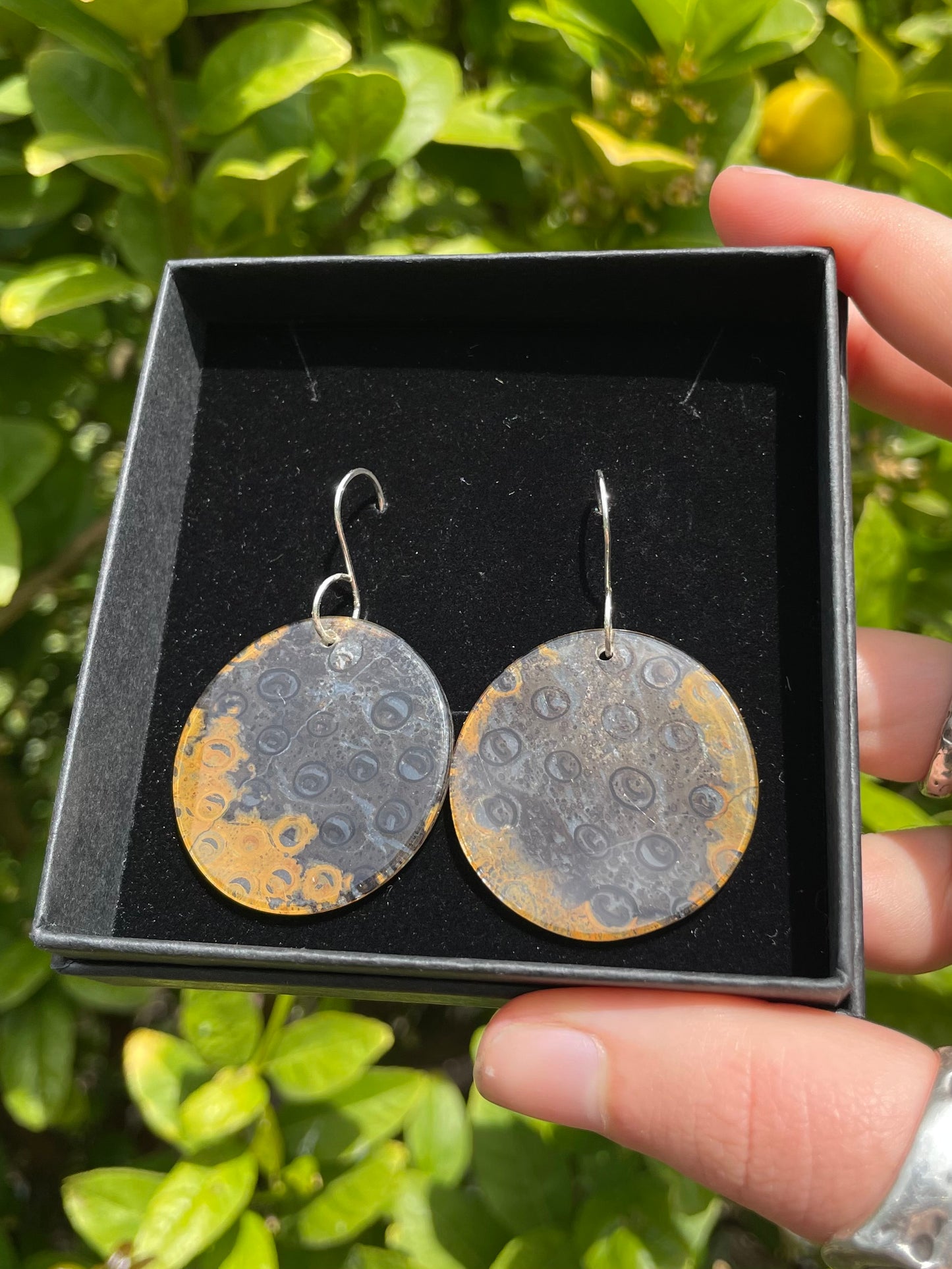 Tasmanian Petrified Fern sterling silver slice earrings