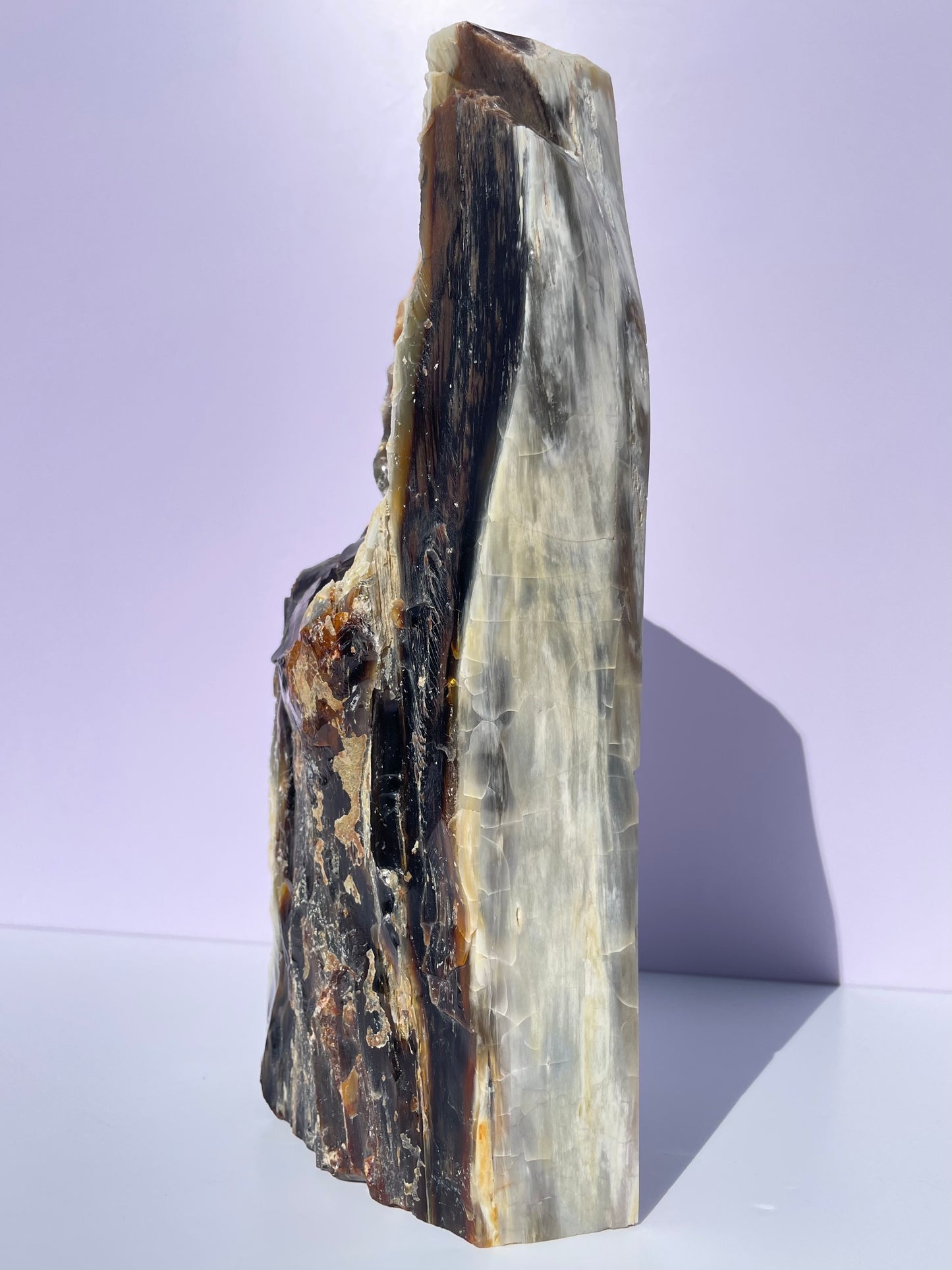 Tasmanian Opalized Wood Freestanding slab