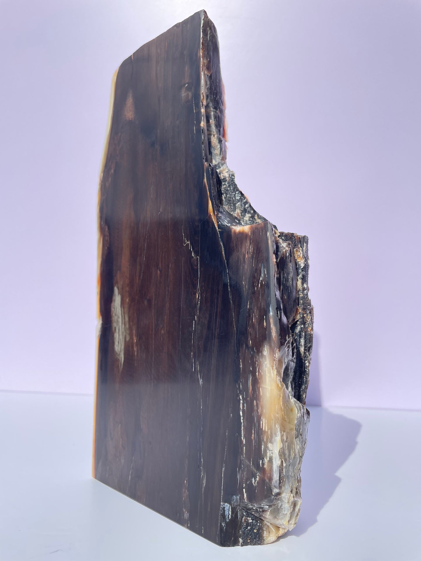 Tasmanian Opalized Wood Freestanding slab