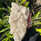 XLarge Tasmanian Clear Quartz cluster