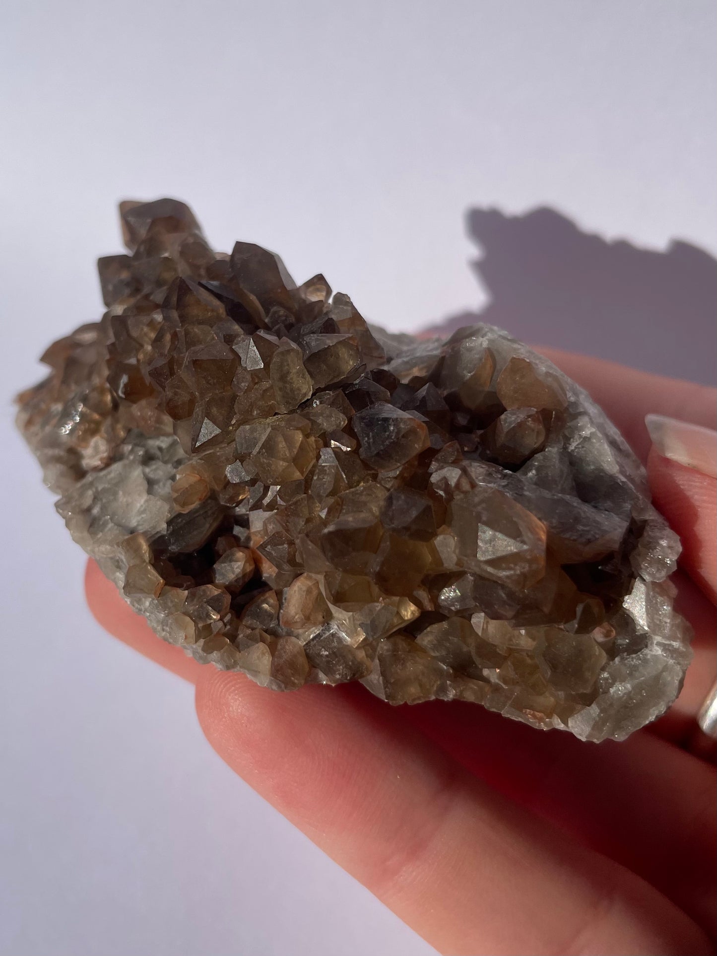 Tasmanian Smoky Quartz w/ Hematite inclusions specimen