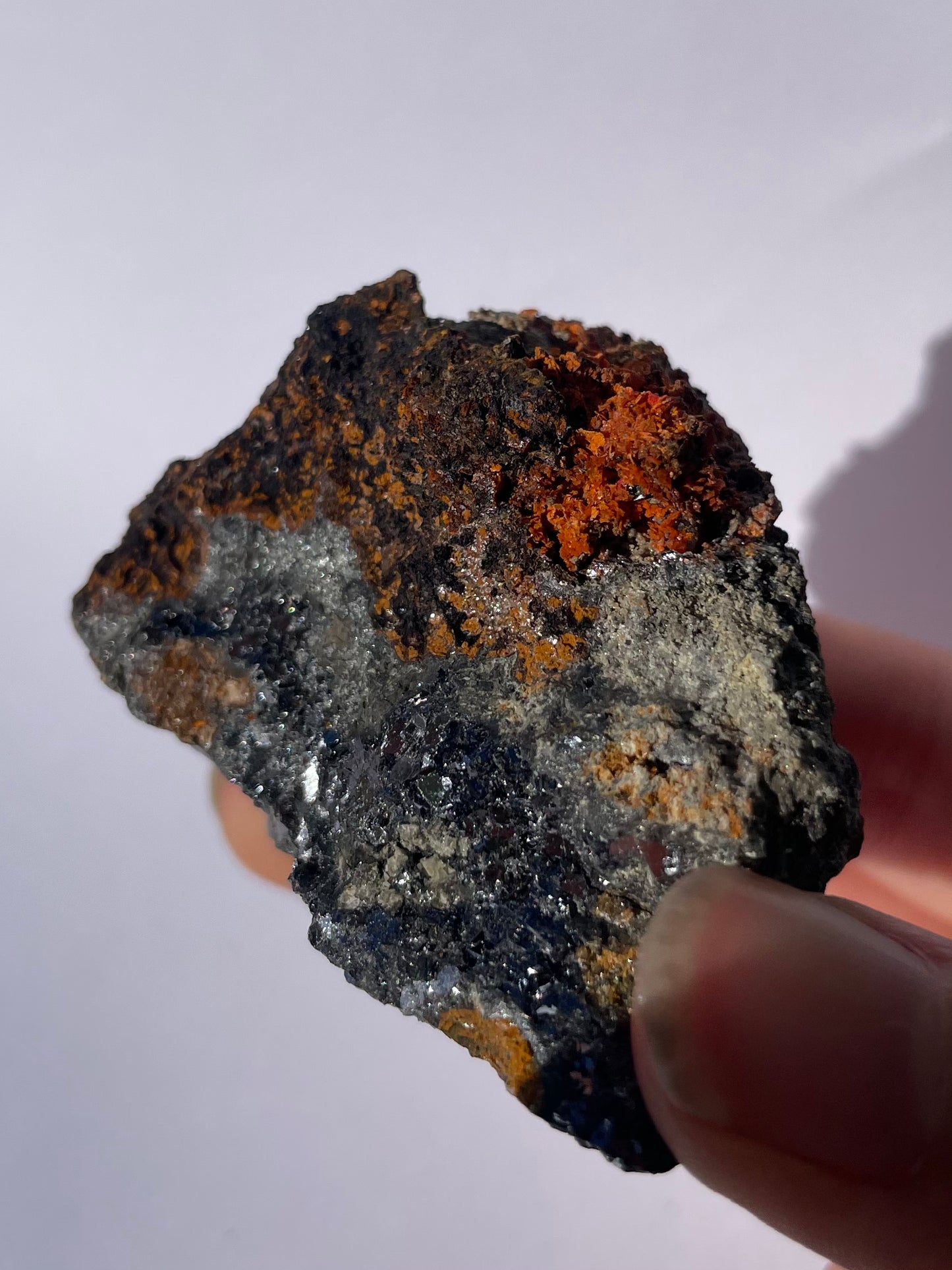 Tasmanian Crocoite on Galena specimen