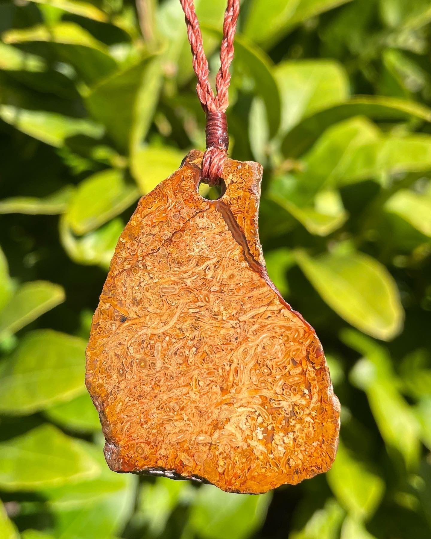 Tasmanian Petrified Fern root necklace