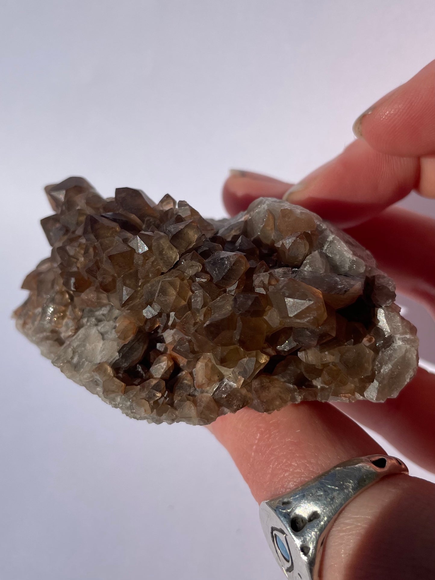 Tasmanian Smoky Quartz w/ Hematite inclusions specimen