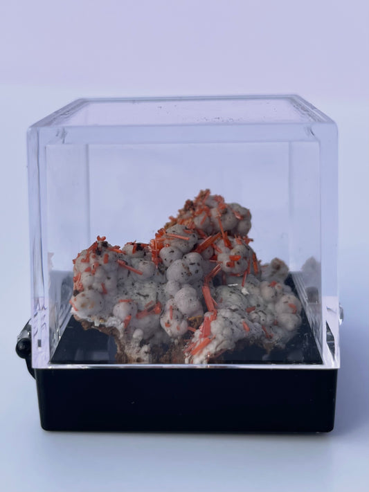 Tasmanian Crocoite & Dundasite specimen