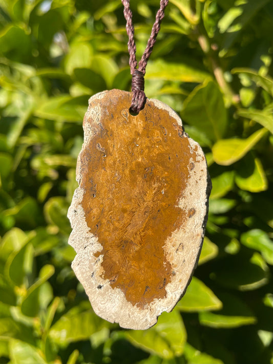 Tasmanian Petrified Fern slice fully adjustable necklace