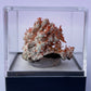 Tasmanian Crocoite & Dundasite specimen