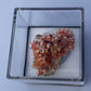 Tasmanian Crocoite & Dundasite specimen