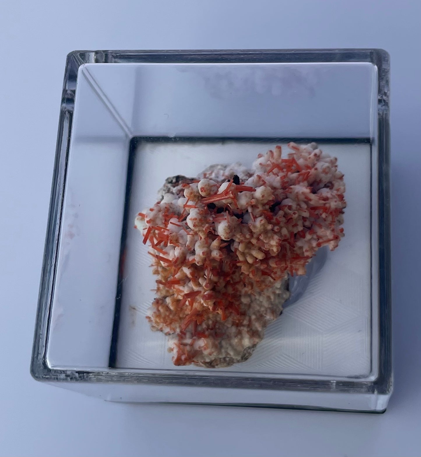 Tasmanian Crocoite & Dundasite specimen