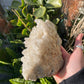 XLarge Tasmanian Clear Quartz cluster