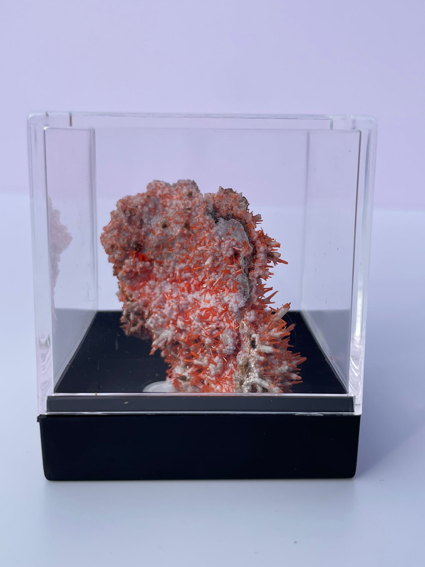 Tasmanian Crocoite & Dundasite specimen