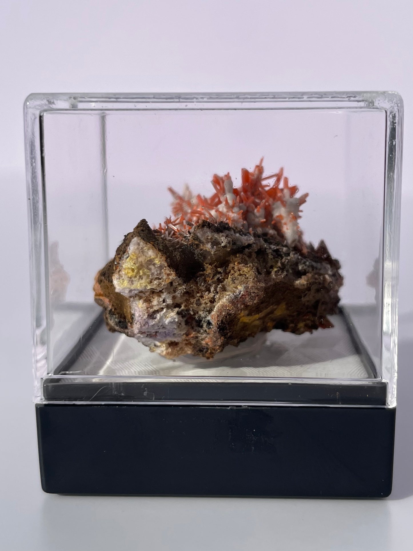 Tasmanian Crocoite & Dundasite specimen