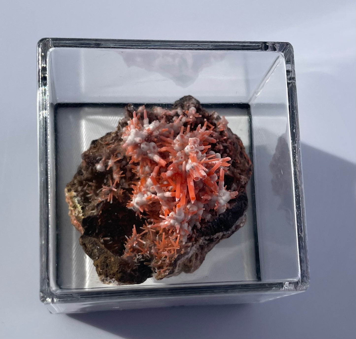 Tasmanian Crocoite & Dundasite specimen