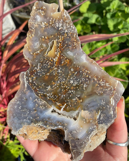 Tasmanian Lune River Chalcedony Agate